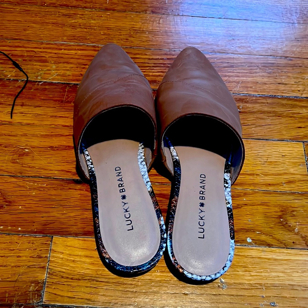 Cute brown mules!